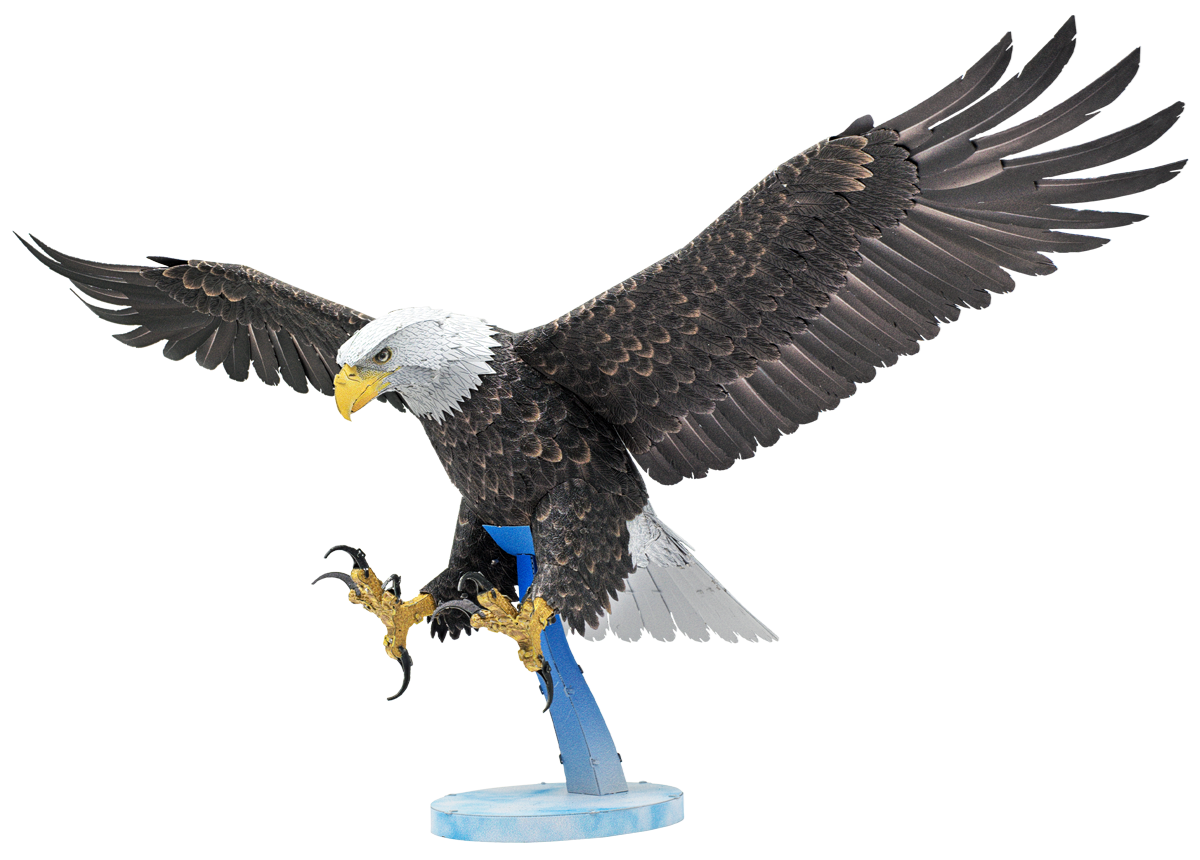 PremiumSeries - American Bald Eagle