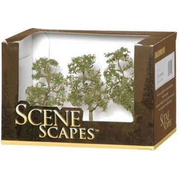 Sycamore trees 3-4