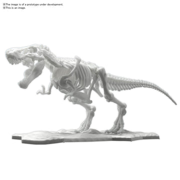 BAN2569526 Tyrannosaurus , Bandai Spirits Hobby Dinosaur Model Kit Limex Skeleton