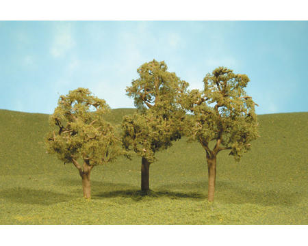 Elm trees 3-4" (3)