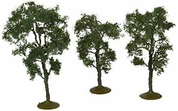 Maple trees 3-4" (3)