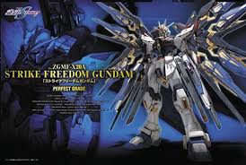 PG ZGMF-X20A Strike Freedom Gundam
