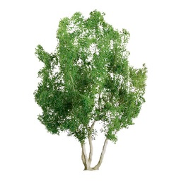 JTT Scenery Professional Tree, Snow Gum 2" (4)