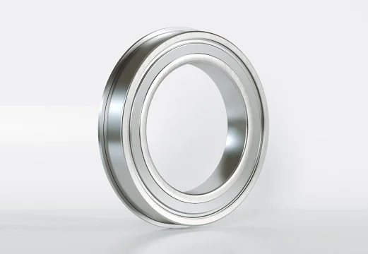 SMF52C-YZZ #5 NB2 BG (2X5X2.5F) Ceramic Bearing