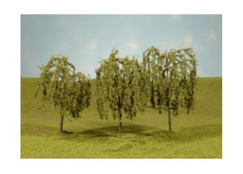 Willow trees 2.25-2.5" (4)