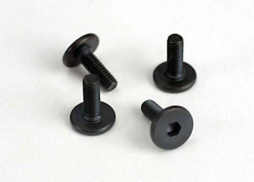 Flat head screw 3x10mm (4)